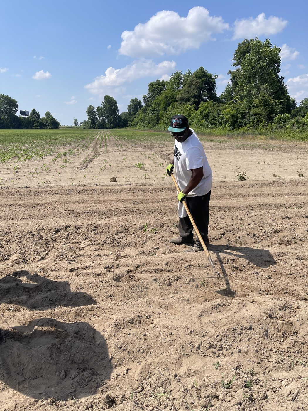 Community farmer tilling rows in the field