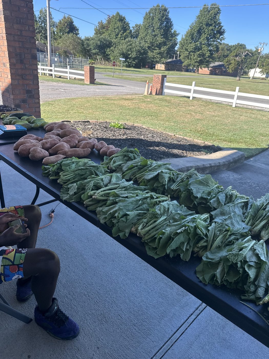 Fresh greens and sweet potatoes at the market