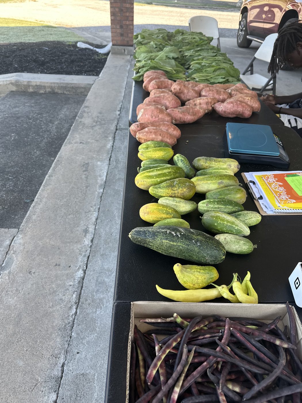 Fresh sweet potatoes, cucumbers, and vegetables at STAN's Market